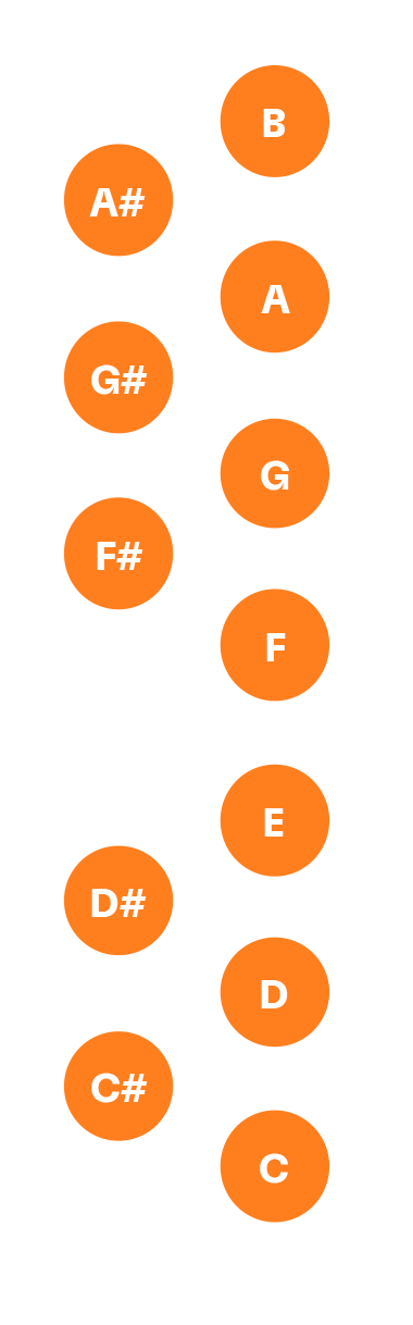 ALT's twelve note keys, from C to B